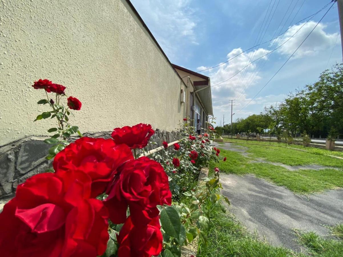 Alp Hotel Ґах Екстер'єр фото