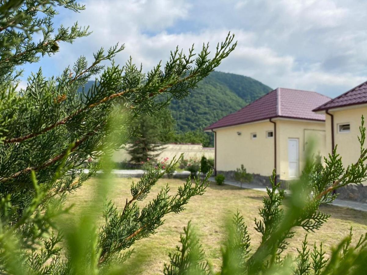 Alp Hotel Ґах Екстер'єр фото